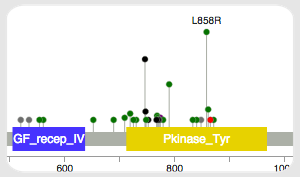 Mutation Mapper — EGFR protein