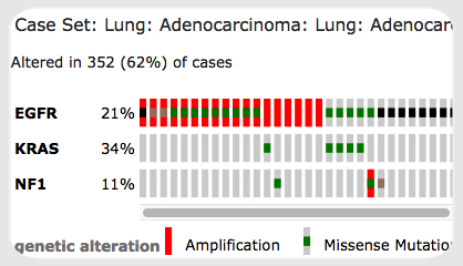 OncoPrint view — Lung Adenocarcinoma