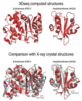 protein structure images from cBio paper small